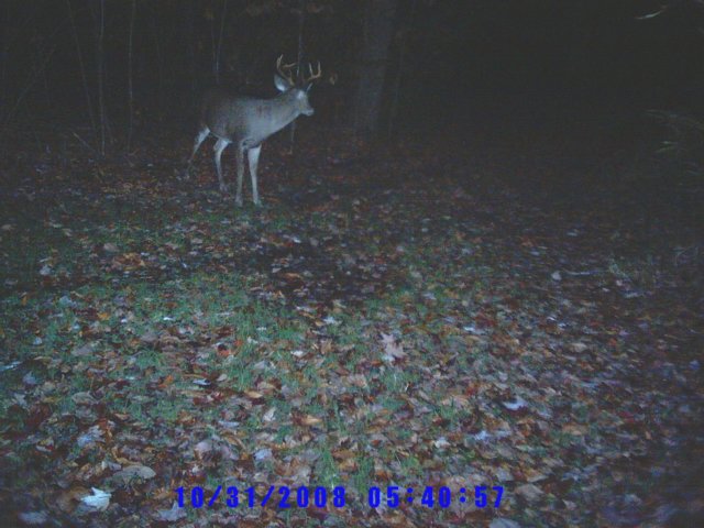 photo56.jpg
